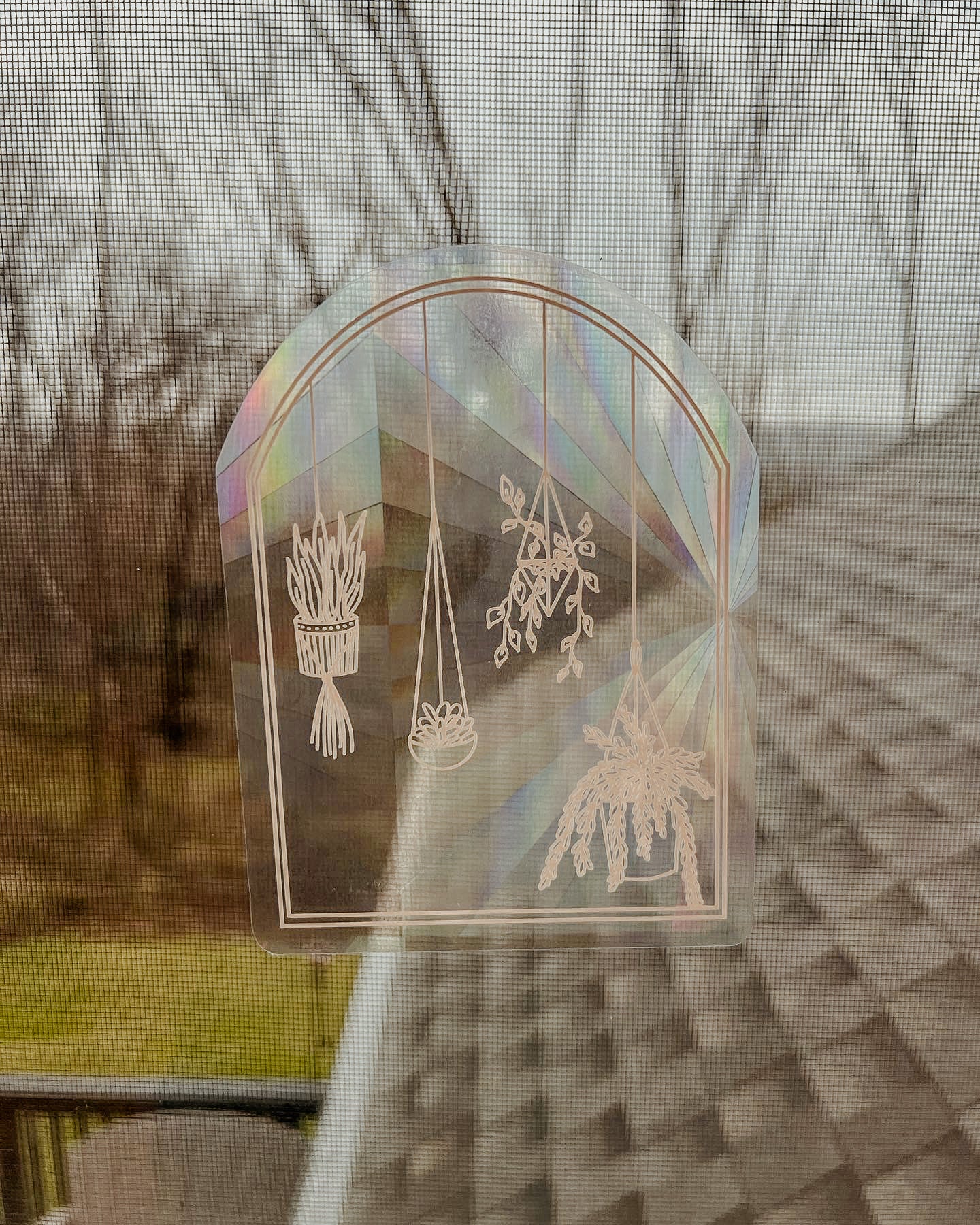 Hanging Plant Sun Catcher Decal