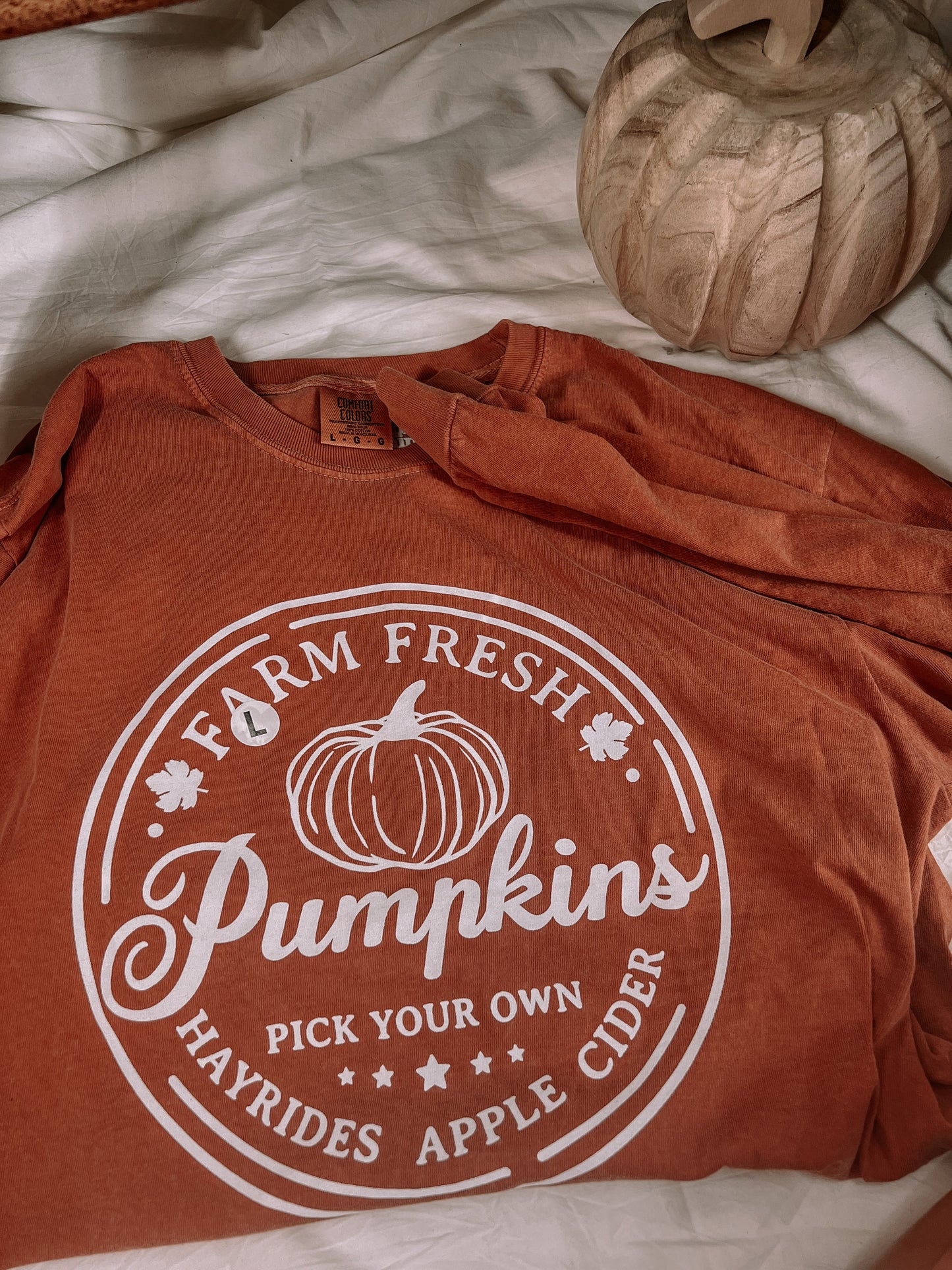 Farm Fresh Pumpkins 2023 Long Sleeve Shirt
